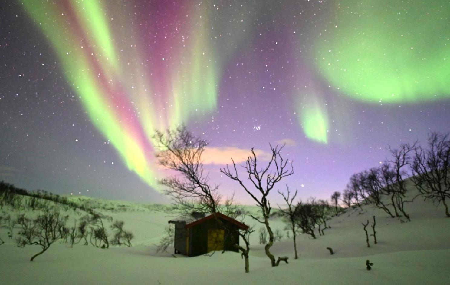 Atte Arstider Lodge Neiden Buitenkant foto